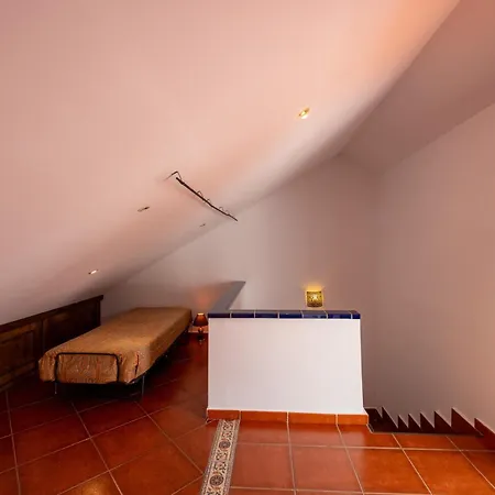 Sweet Botanico אדחה