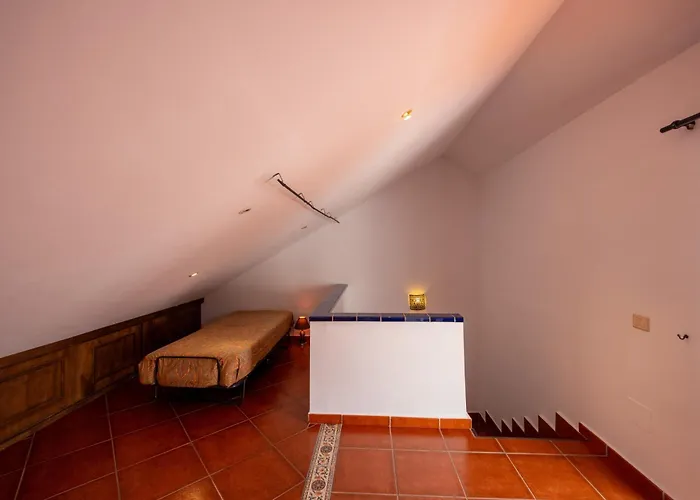 Sweet Botanico أذيخي